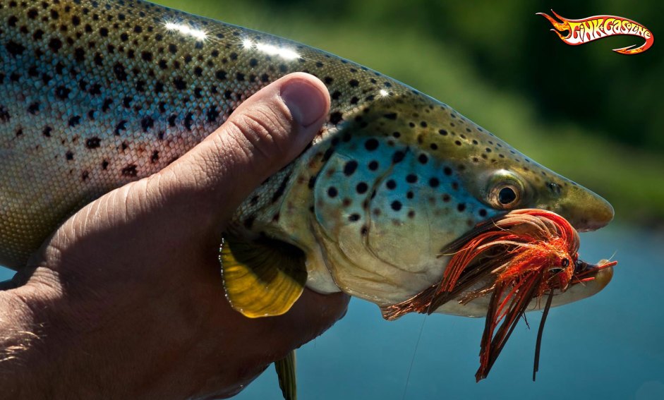 Trout Streamers And The Problem With Pushing Water